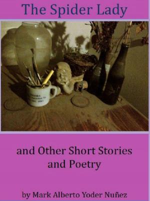 Cover of the book The Spider Lady and Other Short Stories and Poetry by Carole Verity