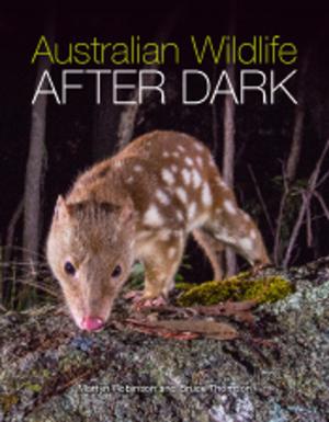 Book cover of Australian Wildlife After Dark