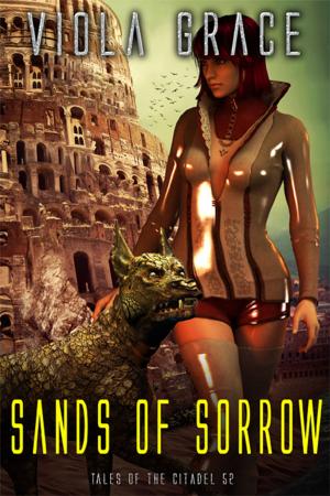 Cover of the book Sands of Sorrow by Evelyn Starr