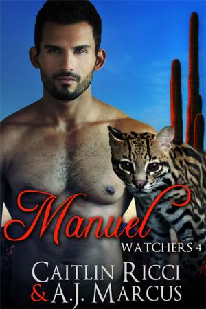 Cover of the book Manuel by Matthew Angelo