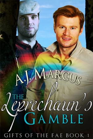 Cover of the book The Leprechaun’s Gamble by A.J. Llewellyn, D.J. Manly