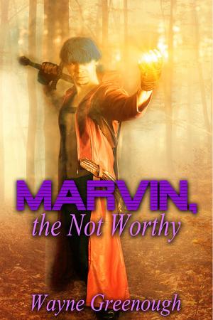 Book cover of Marvin, the Not Worthy