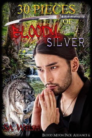Cover of the book 30 Pieces of Bloody Silver by Emily Wade-Reid