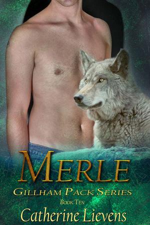 Cover of the book Merle by Jon Bradbury