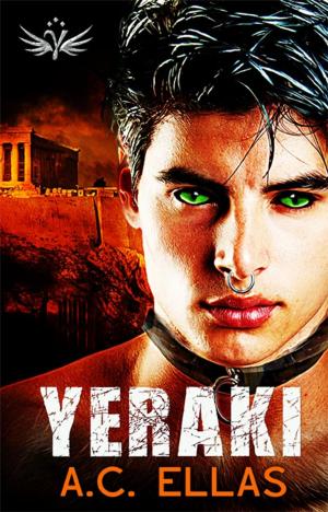 Cover of the book Yeraki by Jon Bradbury