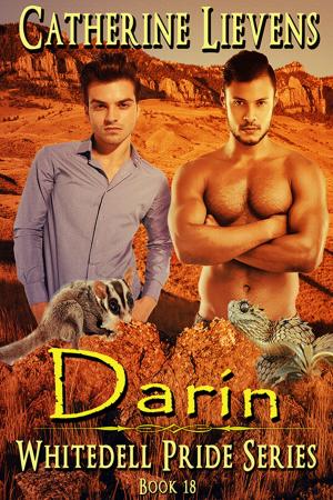 Cover of the book Darin by Catherine Lievens