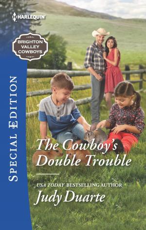 Cover of the book The Cowboy's Double Trouble by Debra Lee Brown