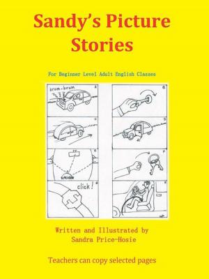 Cover of the book Sandy's Picture Stories by Jewel Marie McDonald, Rasheed I Muhamad