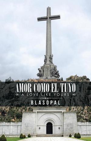 Cover of the book Amor Como El Tuyo by Anders Wennerstrom