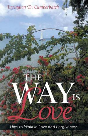 Cover of the book The Way Is Love by Haynes W. Dugan II
