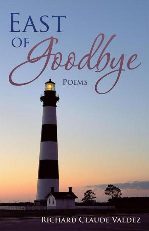 Cover of the book East of Goodbye by Jessica Schmitt