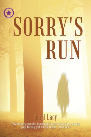 Book cover of Sorry's Run