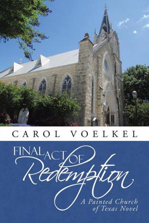 Cover of the book Final Act of Redemption by Joshua David Stone