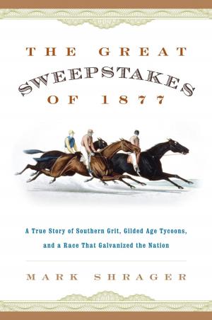 Cover of the book The Great Sweepstakes of 1877 by David Howarth