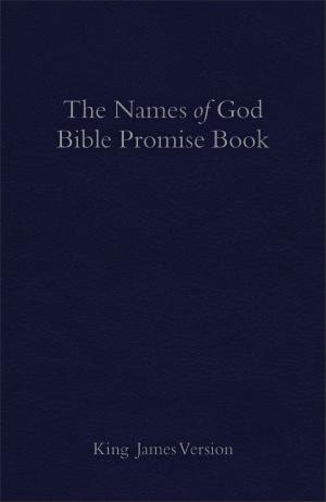 Cover of The KJV Names of God Bible Promise Book, Blue Imitation Leather