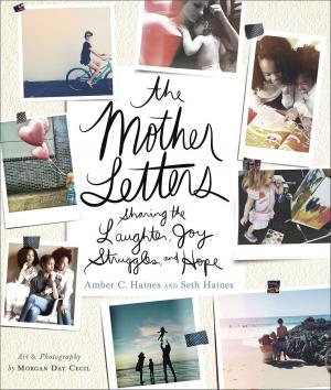 Book cover of The Mother Letters