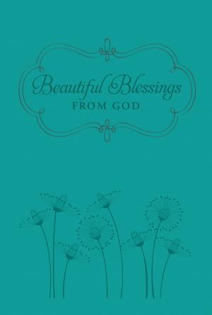 bigCover of the book Beautiful Blessings from God by 