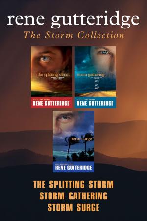 Cover of the book The Storm Collection: The Splitting Storm / Storm Gathering / Storm Surge by Nancy Guthrie