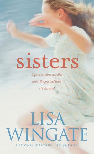 Cover of the book Sisters by J. Stephen Lang