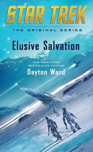 Cover of the book Elusive Salvation by Lisa Cach