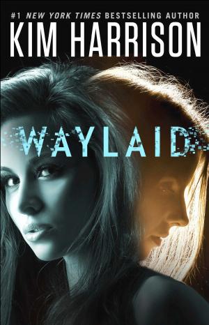 Cover of the book Waylaid by Nina Crespo