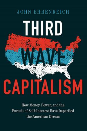 Cover of the book Third Wave Capitalism by Edward Kaplan