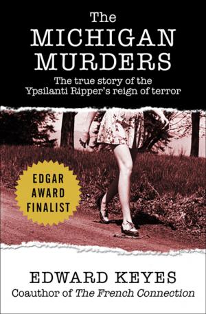 Cover of the book The Michigan Murders by John R. Tunis