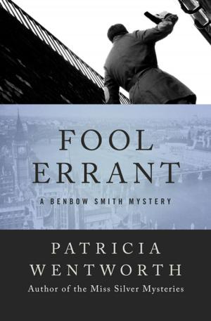 Cover of the book Fool Errant by Lawrence Sanders, Vincent Lardo