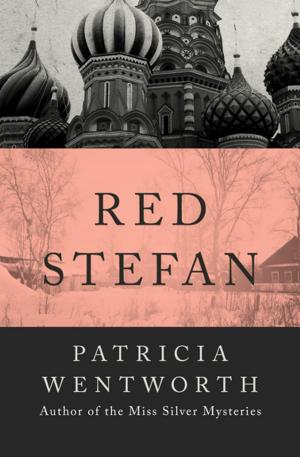 Book cover of Red Stefan