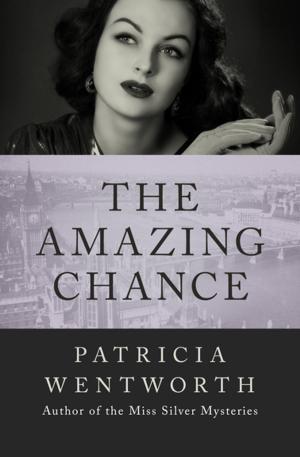 bigCover of the book The Amazing Chance by 