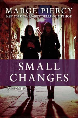 Cover of the book Small Changes by Daniel Adsett