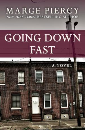 Cover of the book Going Down Fast by Donald Moffitt