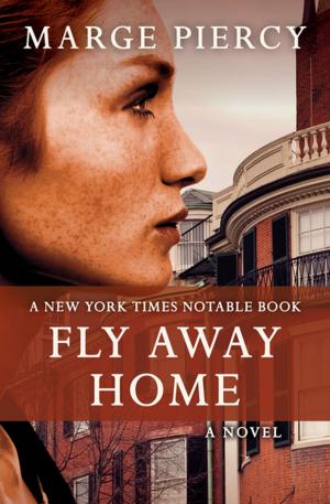 Cover of the book Fly Away Home by George Alec Effinger