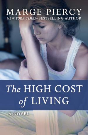 Cover of the book The High Cost of Living by Marge Piercy