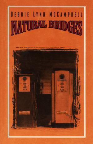 Cover of the book Natural Bridges by Chris Knopf