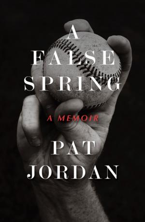 Cover of the book A False Spring by Nan Ryan