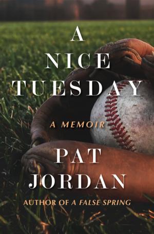 Cover of the book A Nice Tuesday by Clare Francis
