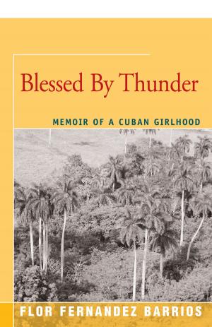Cover of the book Blessed by Thunder by Thomas Keneally