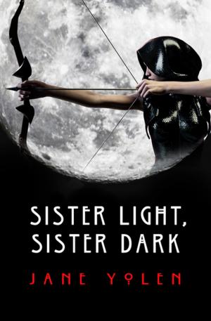Cover of the book Sister Light, Sister Dark by John Ashbery