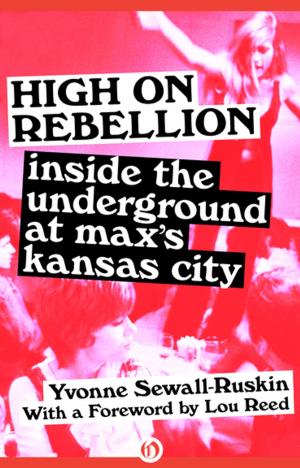 Cover of the book High on Rebellion by Patricia C. Wrede