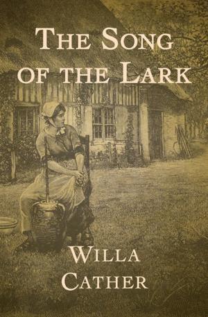 Cover of the book The Song of the Lark by M. E. Kerr, Mary James