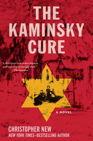 Book cover of The Kaminsky Cure