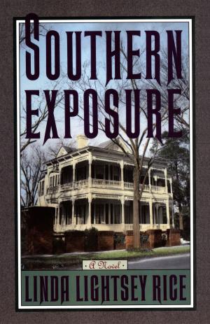Cover of the book Southern Exposure by Toni Ortner