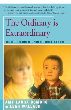 Cover of the book The Ordinary is Extraordinary by David Elliot Cohen