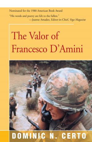 bigCover of the book The Valor of Francesco D'Amini by 
