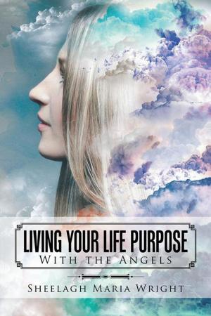 Cover of the book Living Your Life Purpose by Dr. Amneris Mulabecirovic