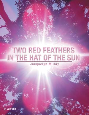 Cover of the book Two Red Feathers in the Hat of the Sun by Sherinata Pollock