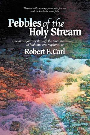 Cover of the book Pebbles of the Holy Stream by Kerry Nietz