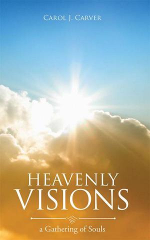Cover of the book Heavenly Visions by Earl Wayne Heflinger