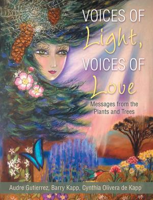 Book cover of Voices of Light, Voices of Love